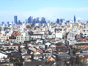 碑文谷より新宿方面を望む