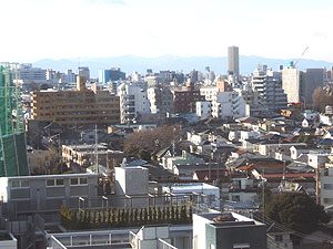 碑文谷より秩父方面を望む