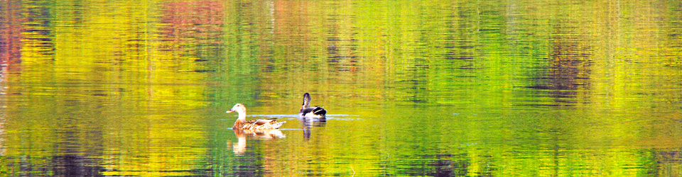 續 more register movement