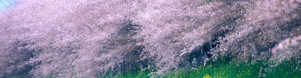 more register movement